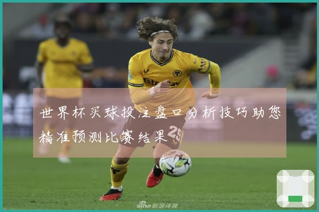 世界杯买球投注盘口分析技巧助您精准预测比赛结果