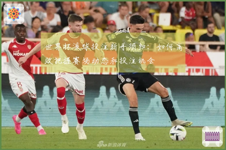 世界杯滚球投注新手须知：如何高效把握赛场动态和投注机会