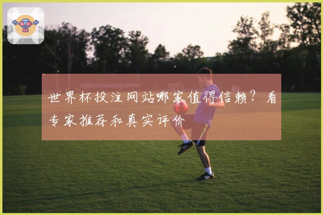 世界杯投注网站哪家值得信赖？看专家推荐和真实评价