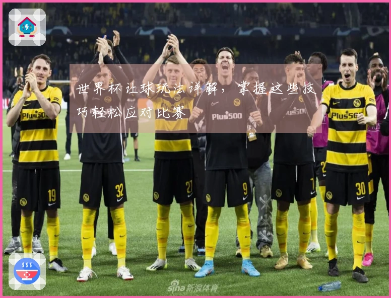 世界杯让球玩法详解，掌握这些技巧轻松应对比赛