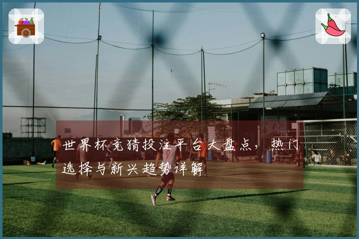 世界杯竞猜投注平台大盘点，热门选择与新兴趋势详解