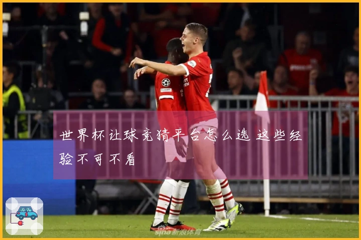 世界杯让球竞猜平台怎么选 这些经验不可不看