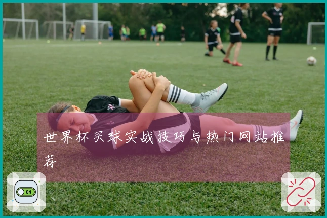 世界杯买球实战技巧与热门网站推荐