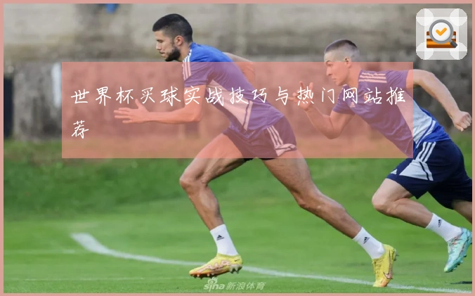 世界杯买球实战技巧与热门网站推荐